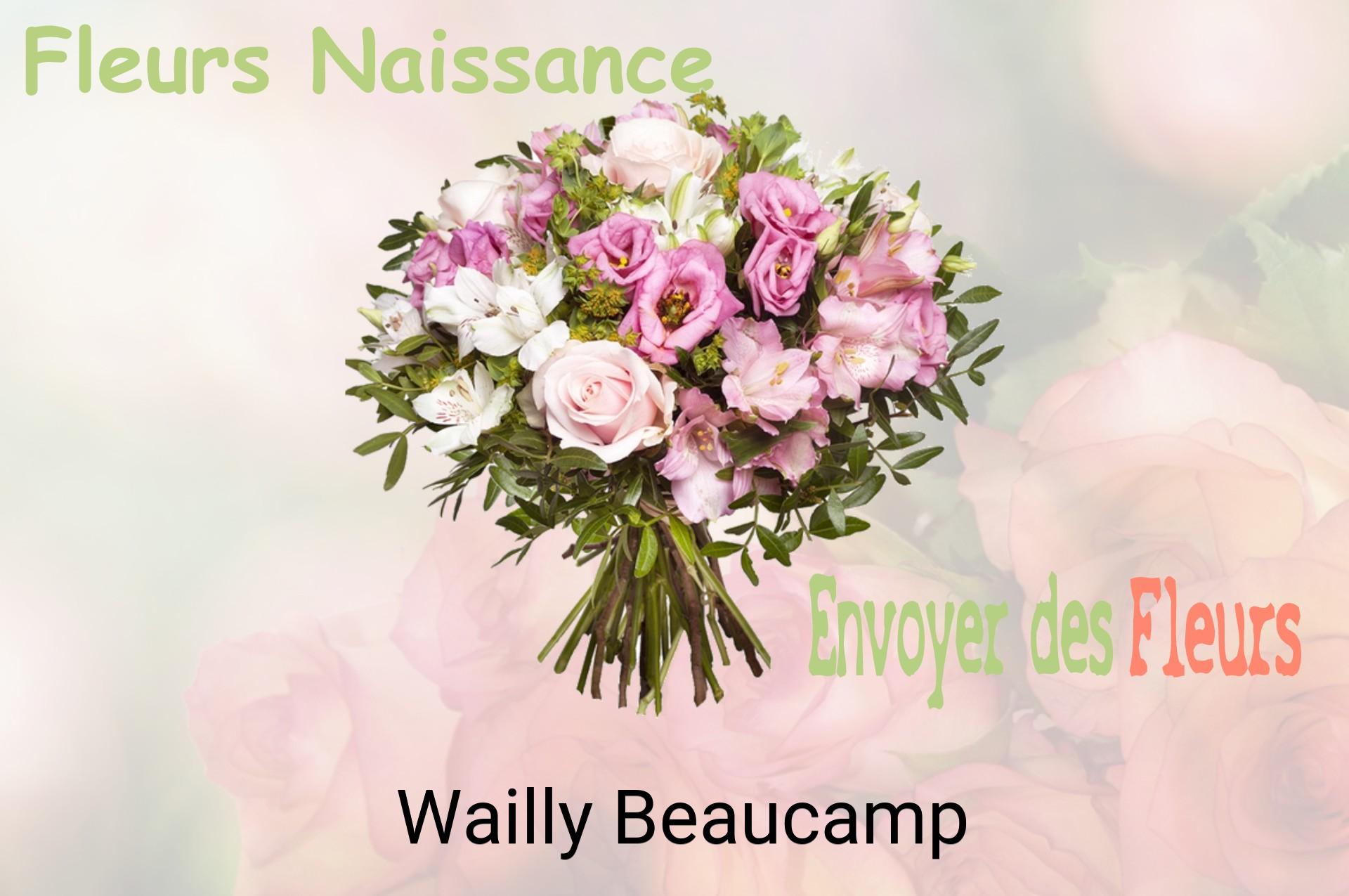 Bouquet de fleurs de naissance livré à Wailly-Beaucamp